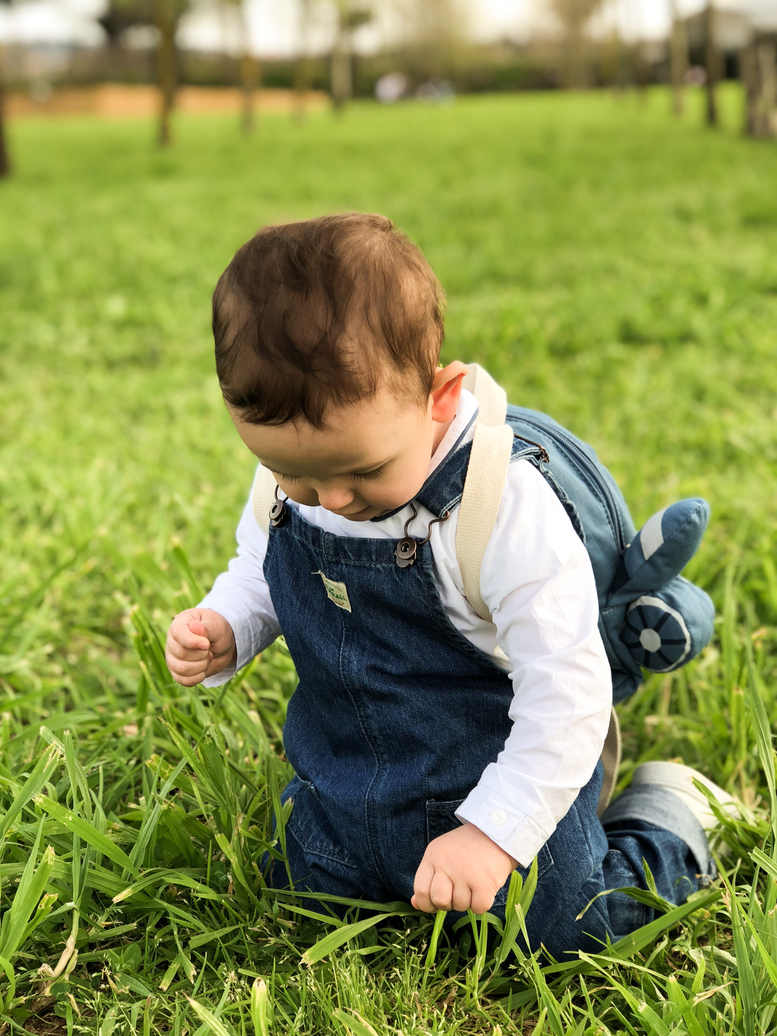 Sulle Spalle Di Papa Una Giornata Al Parco Per Noi Tre